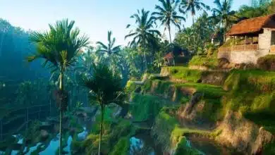Bali