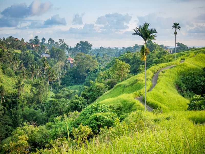 Bali Barat