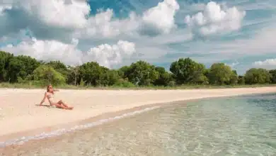 Menjangan