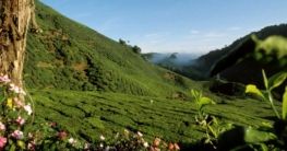 Sungai Ayung Valley