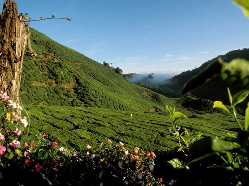 Sungai Ayung Valley