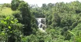 Wasserfall auf Bali