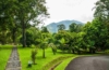 Bedugul